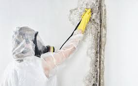 Wanaque, NJ Mold Removal & Remediation Company